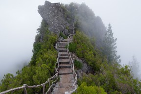 世界体能挑战赛：专项评估体系为跨项选拔提供科学依据，体能挑战赛海报