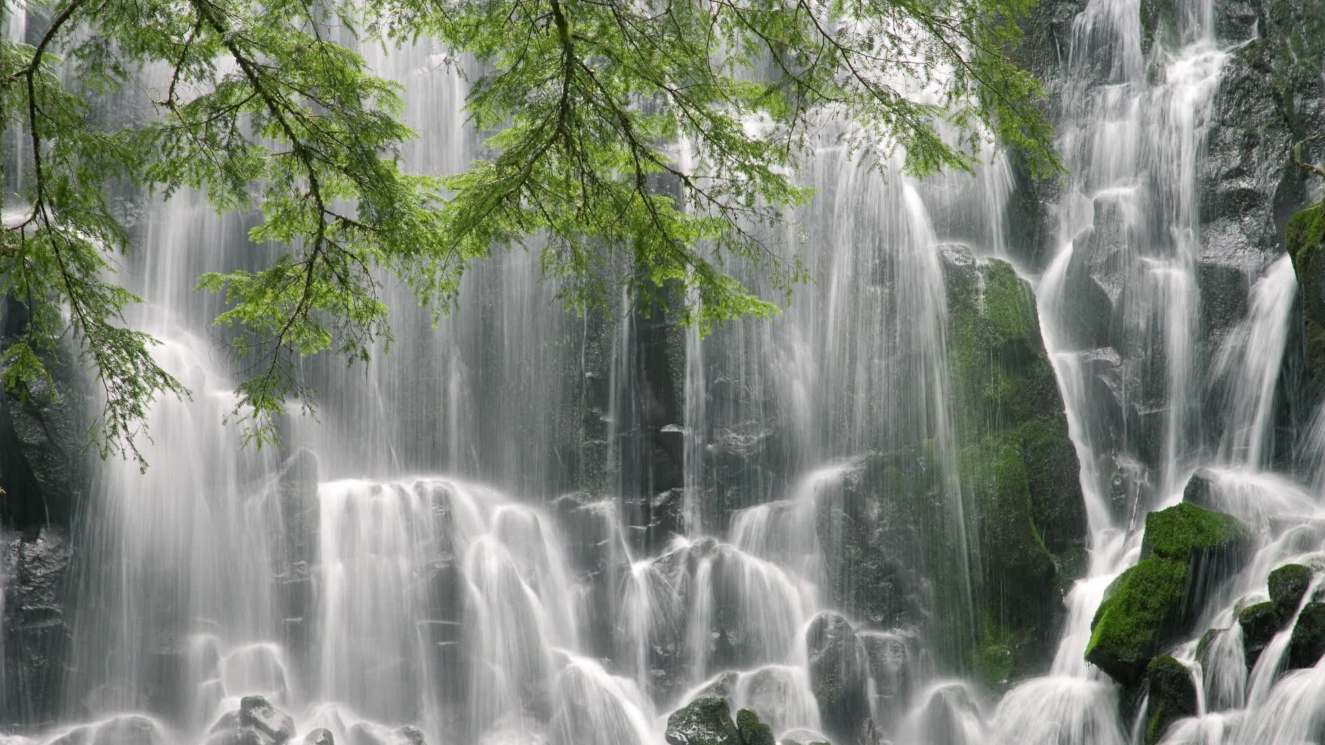 世界体操公开赛：新组合呈现艺术与力量并重，世界体操锦标赛冠军